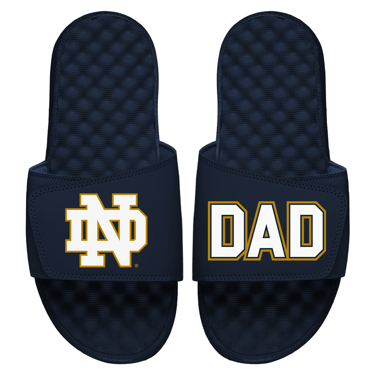 Dad Notre Dame Slides