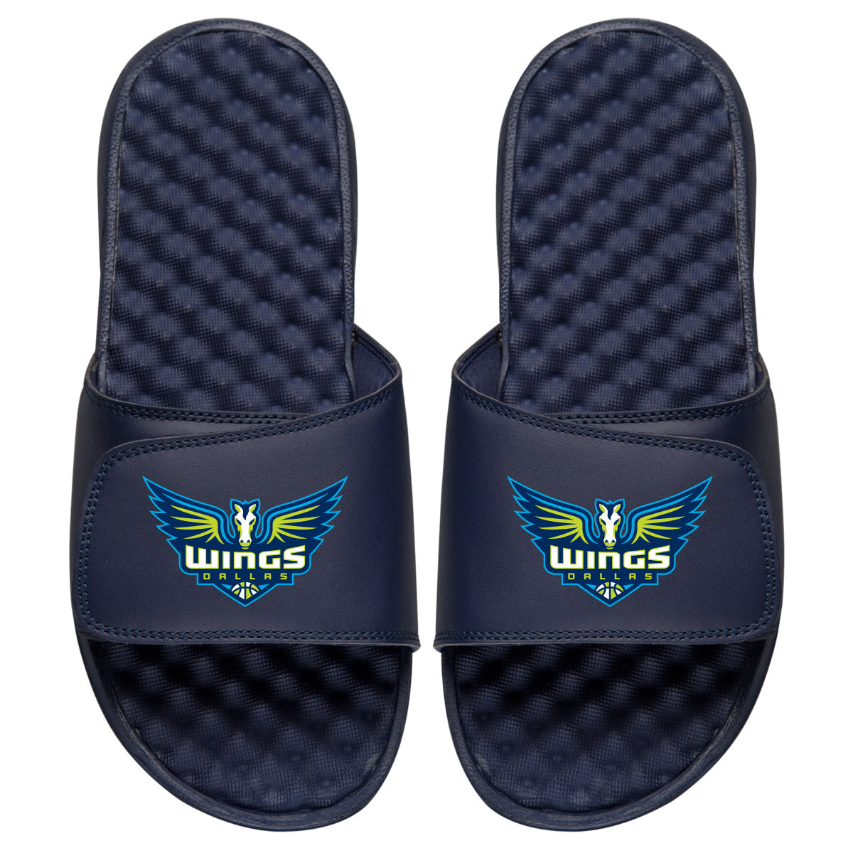 Dallas Wings Primary Logo Slides