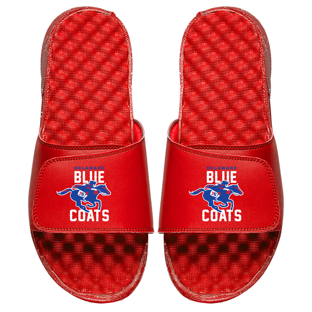 Delaware Blue Coats Slides