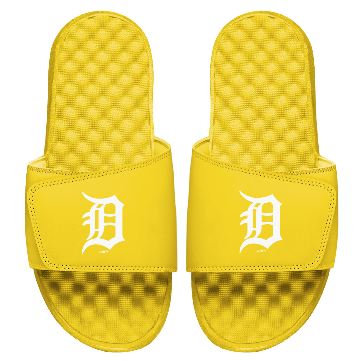 Detroit Tigers Canary Primary Slides