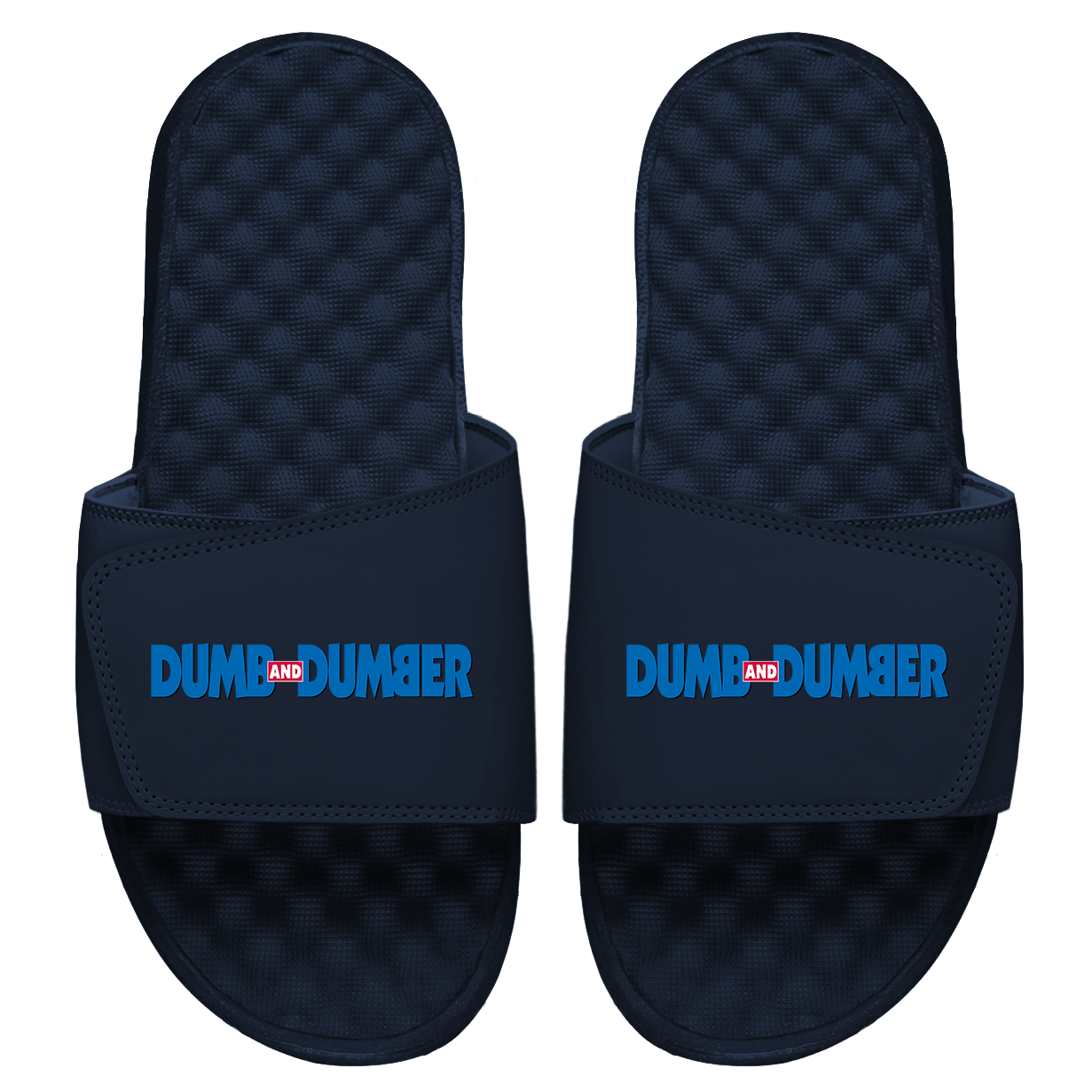 Dumb and Dumber Slides