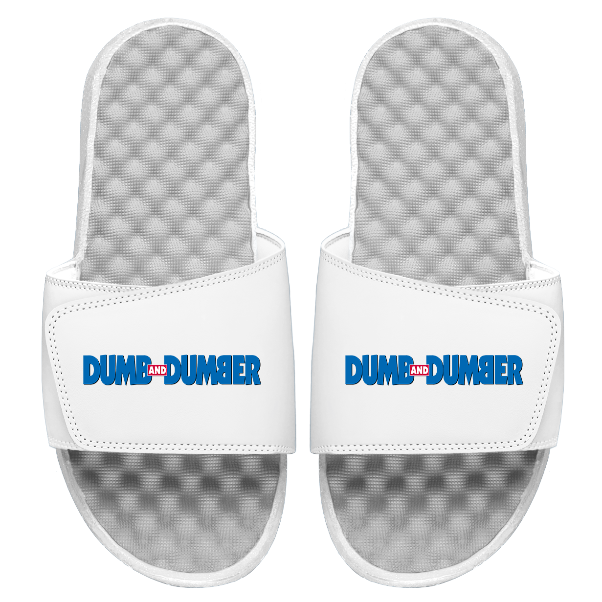 Dumb and Dumber Slides