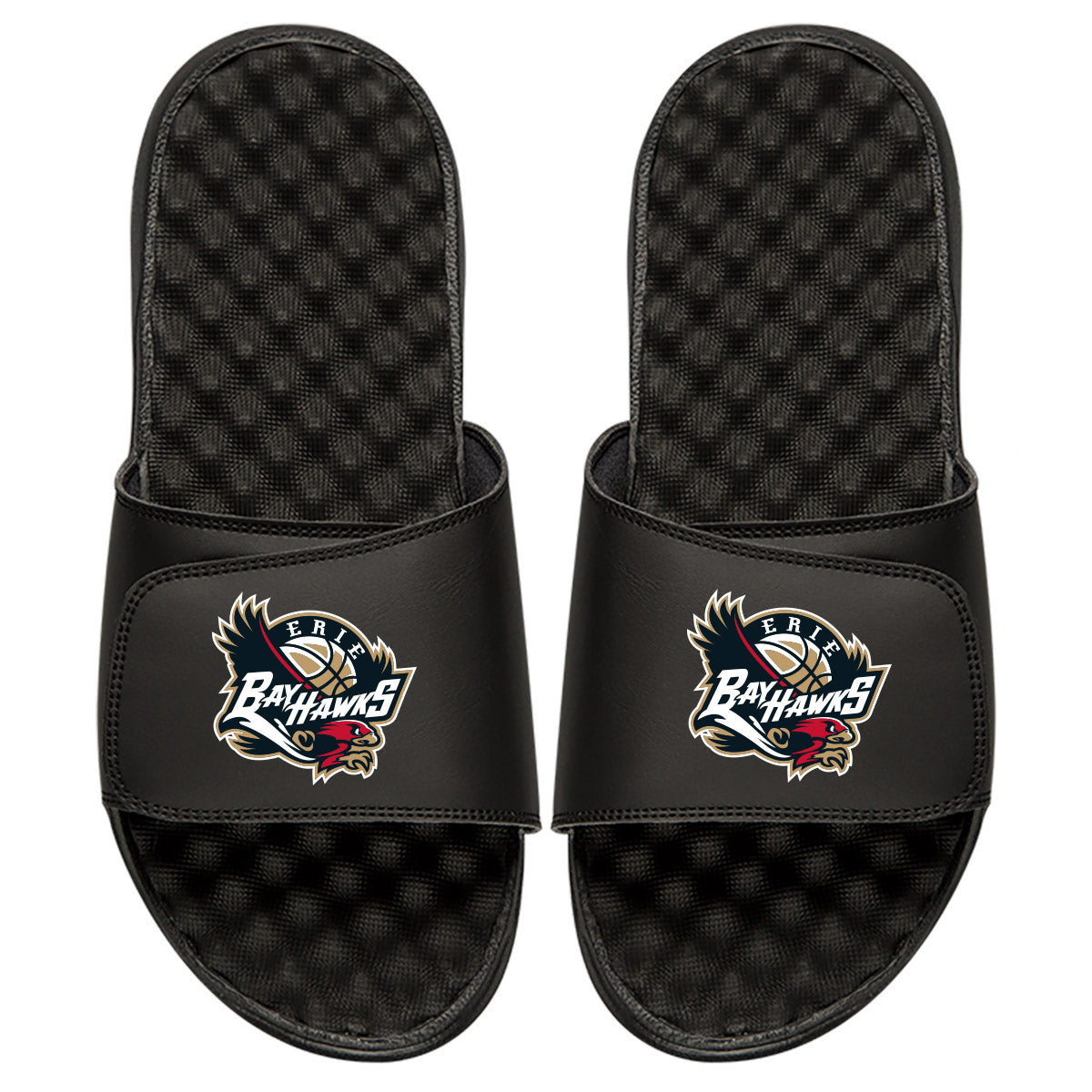 Erie Hawks Slides