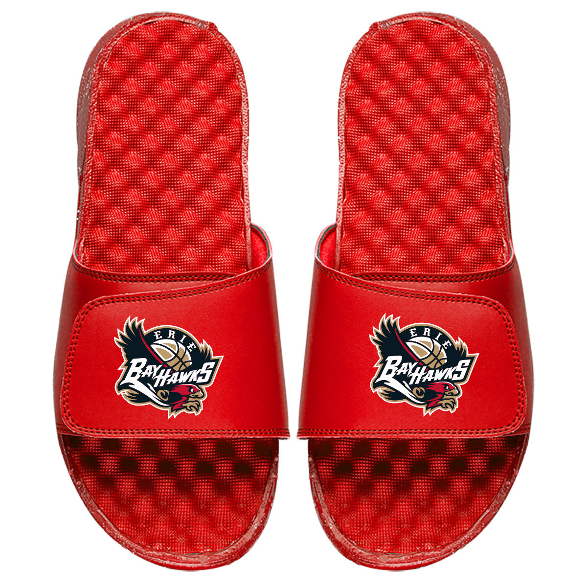 Erie Hawks Slides