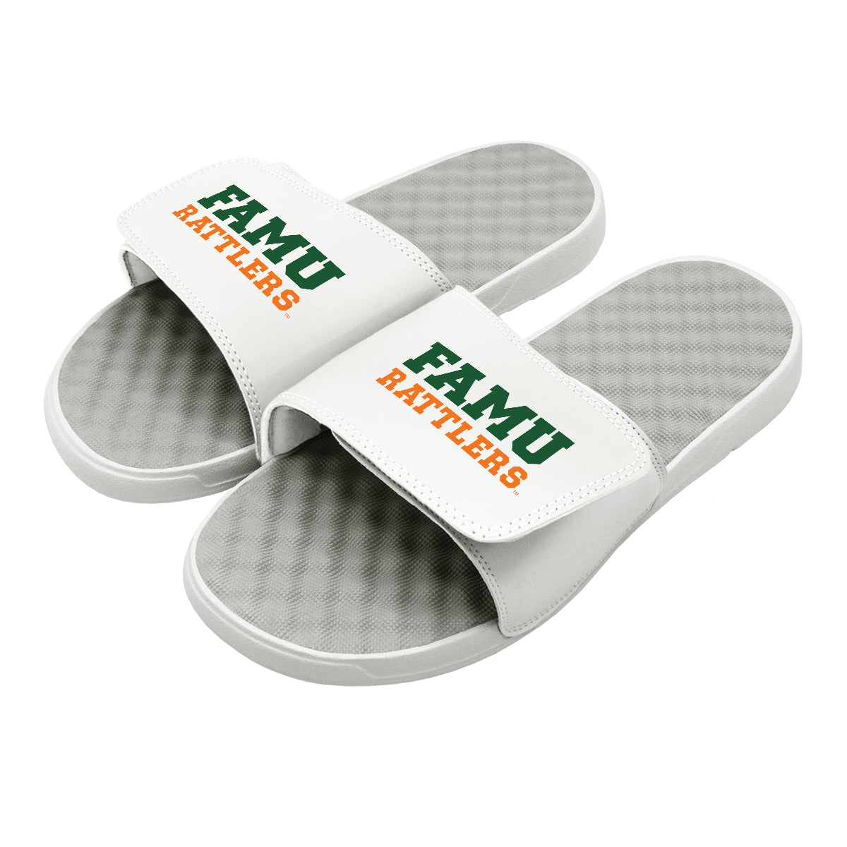 FAMU Rattlers Wordmark Slides
