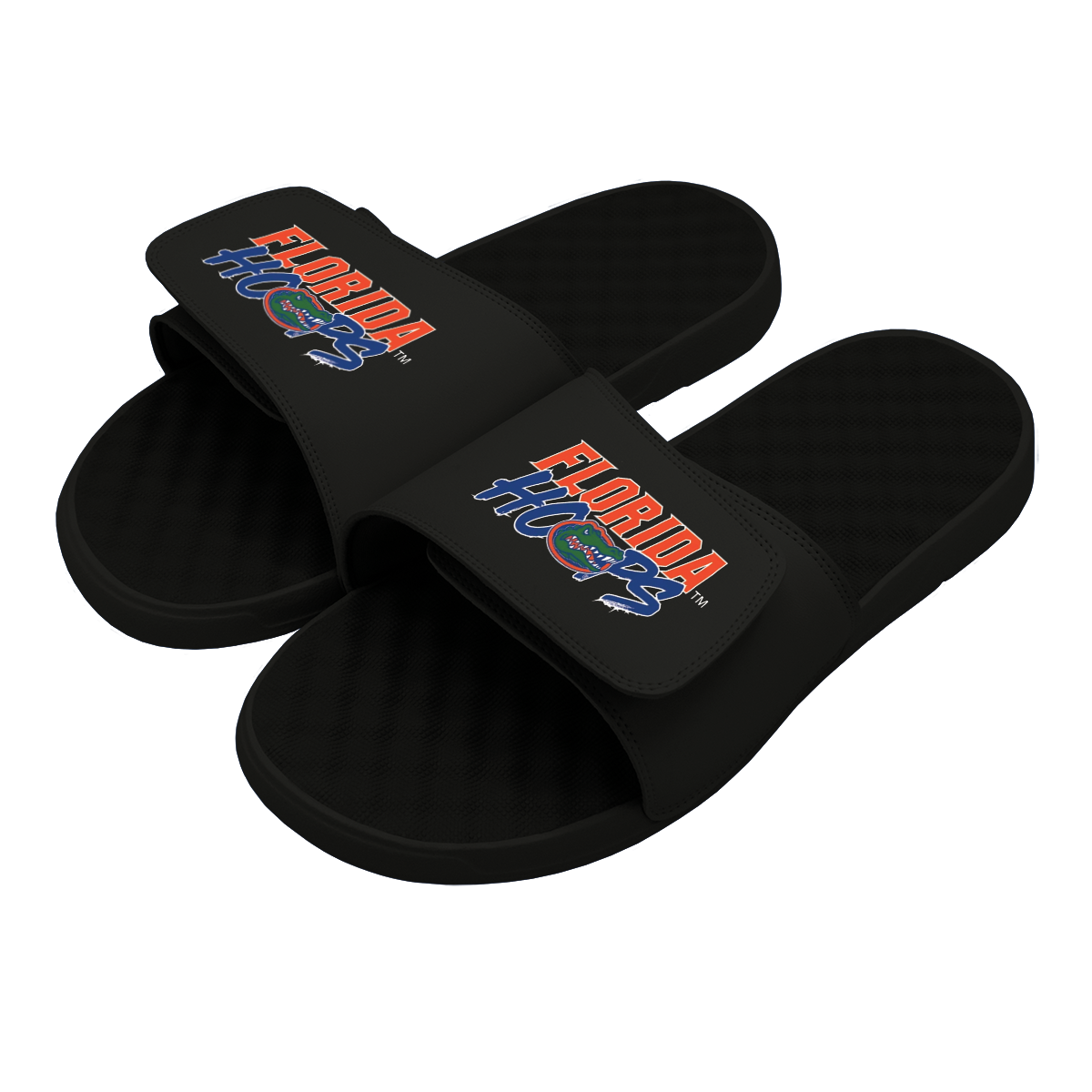 Florida Gators Hoops Slides