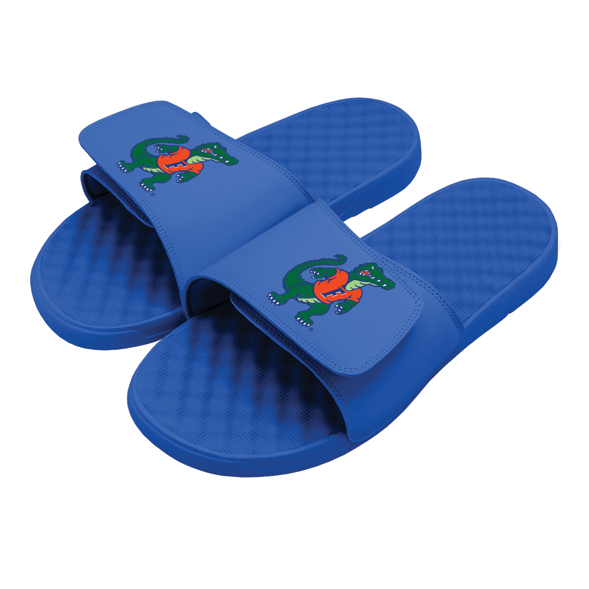 Florida Gators Mascot Slides