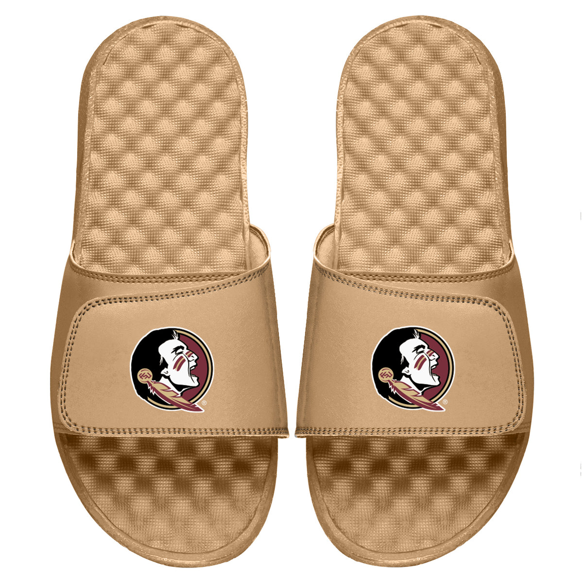 Florida State Seminoles Dune Slides