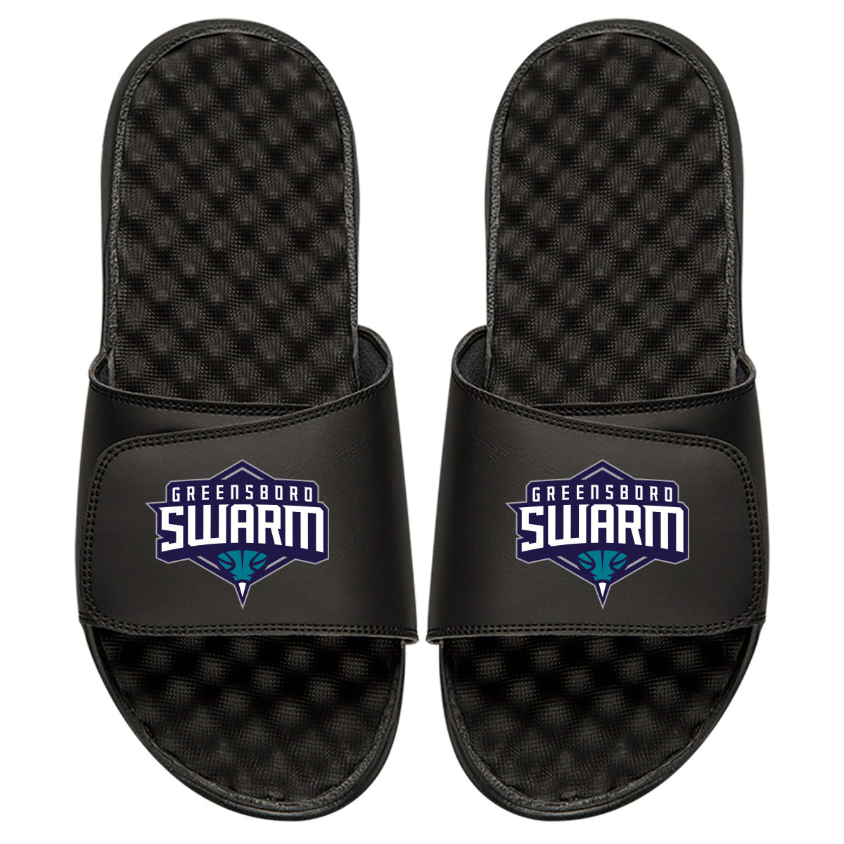 Greensboro Swarm Slides