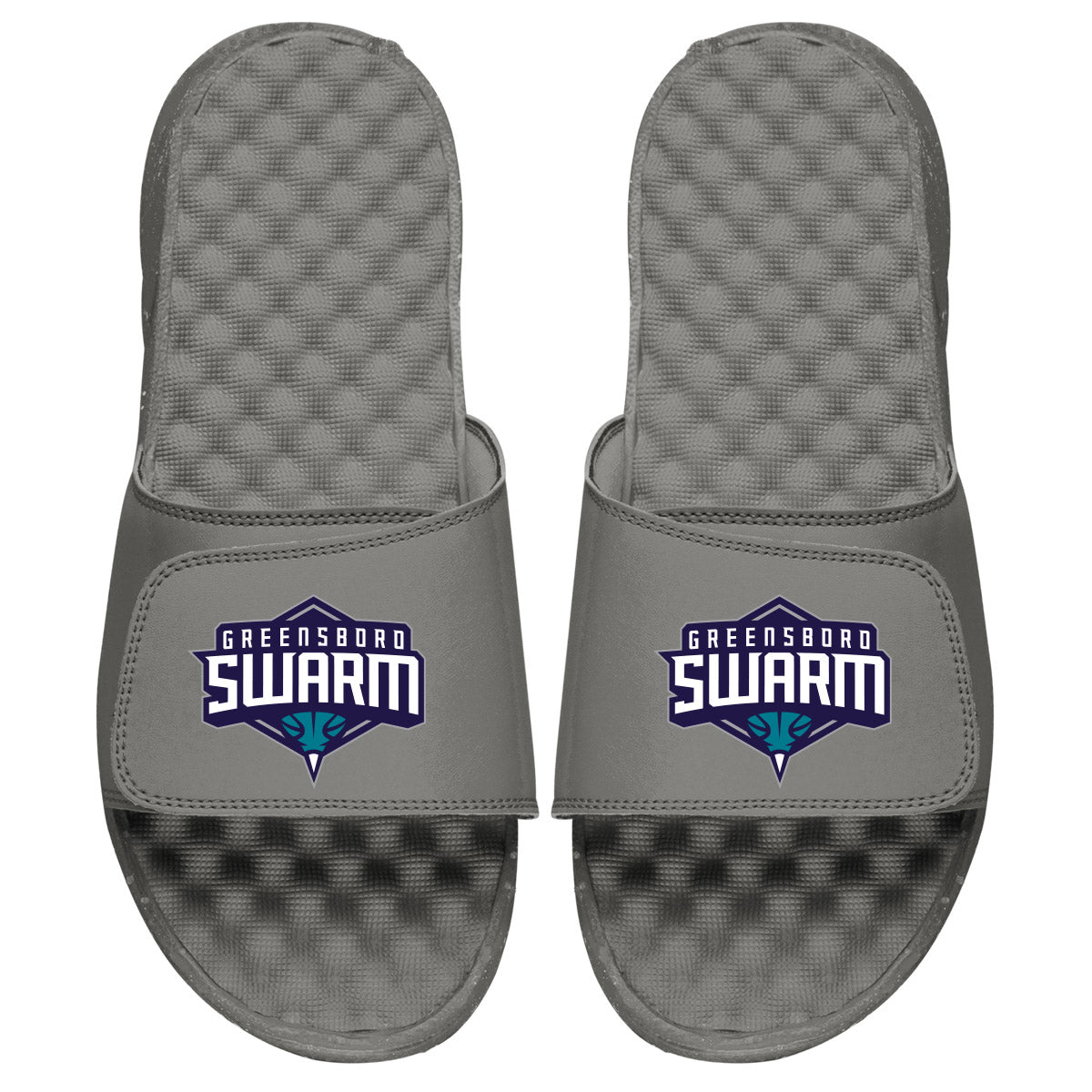 Greensboro Swarm Slides