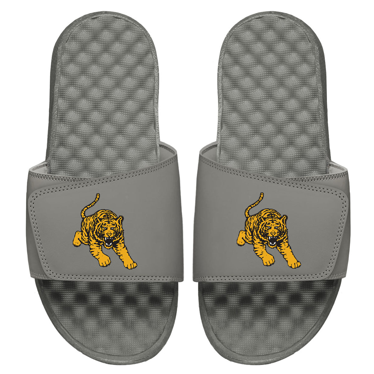 Tuskegee Tiger Slides
