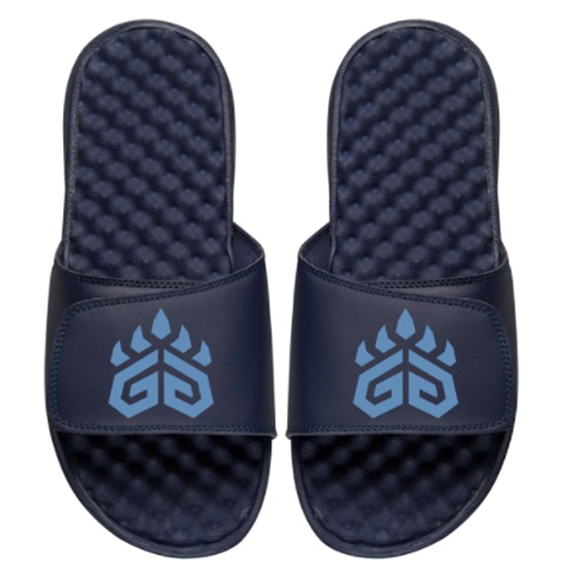 Grizz Gaming Logo Slides