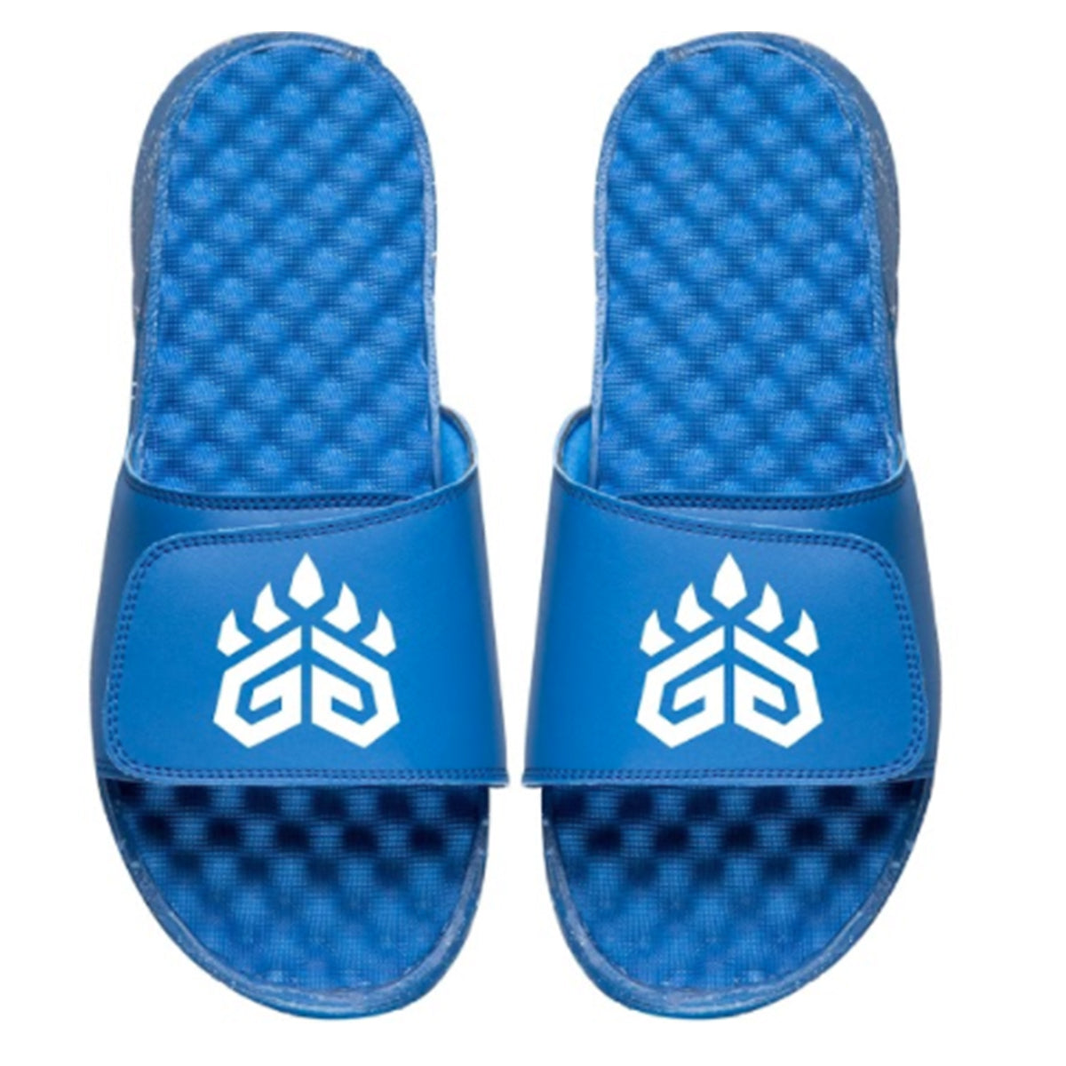 Grizz Gaming Logo Slides