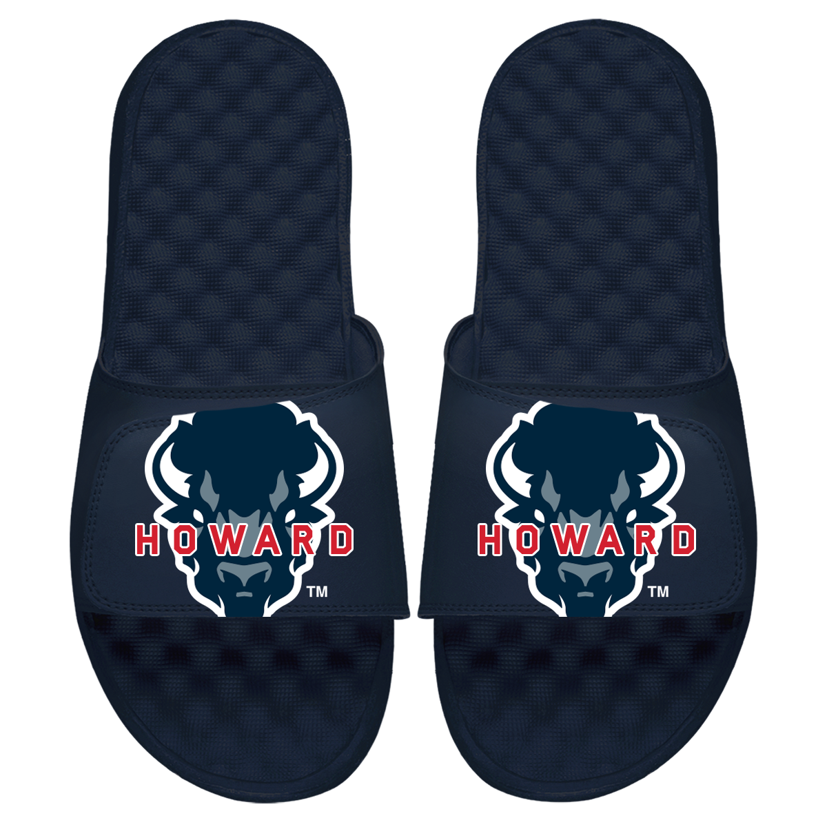 Howard Blown Up Logo Slides