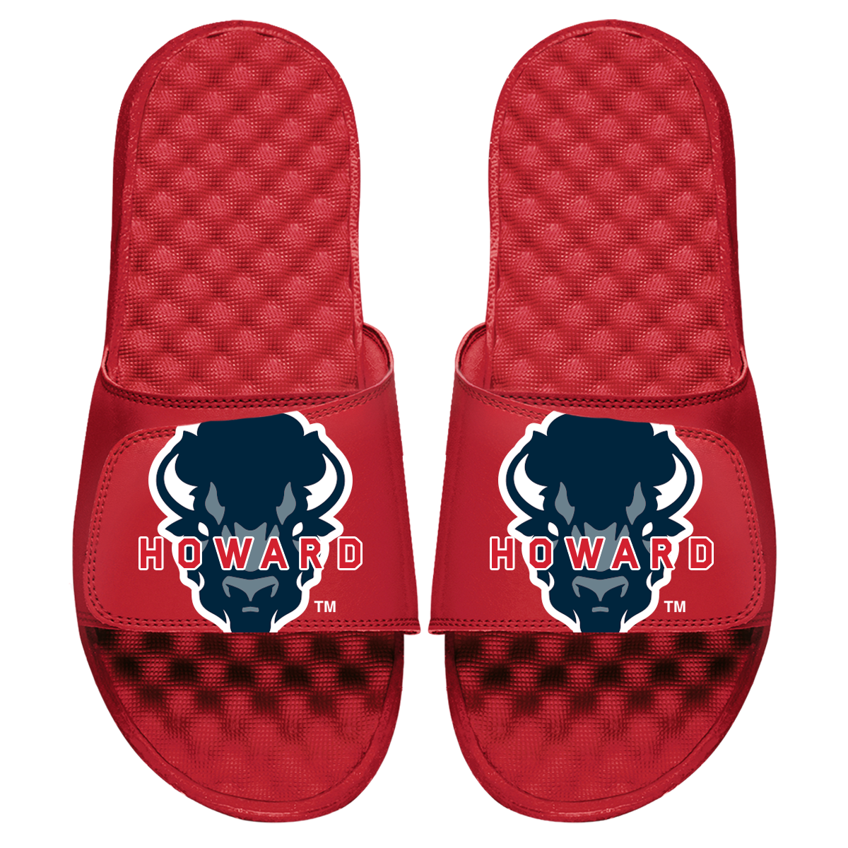 Howard Blown Up Logo Slides