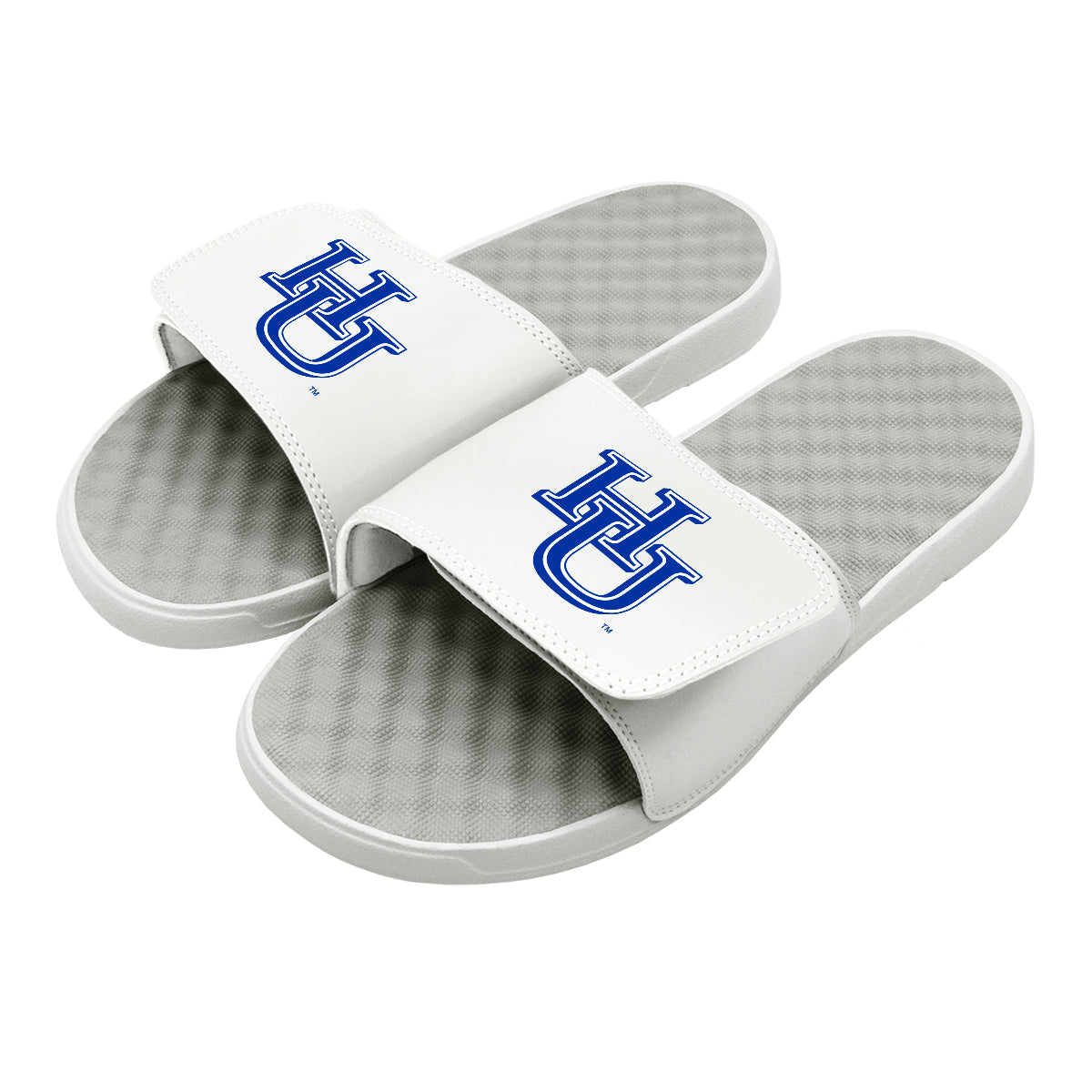 HU Primary Slides