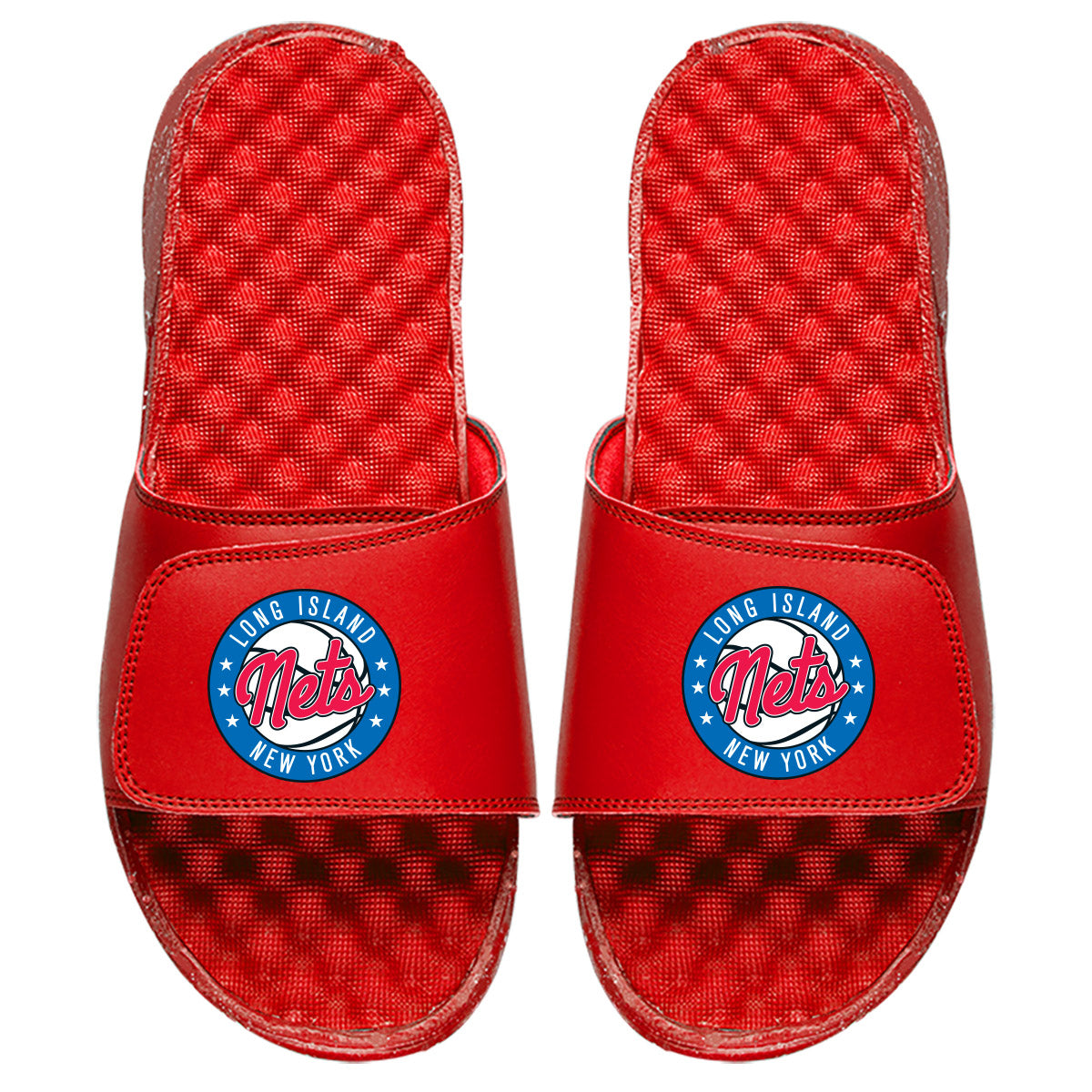 Long Island Nets Slides