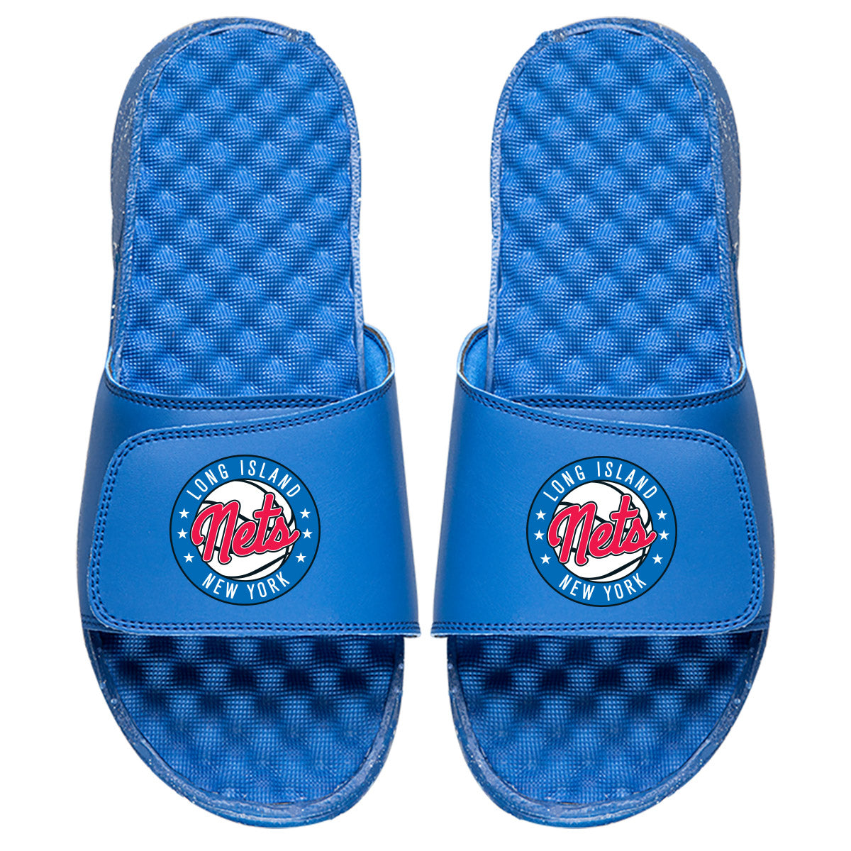 Long Island Nets Slides