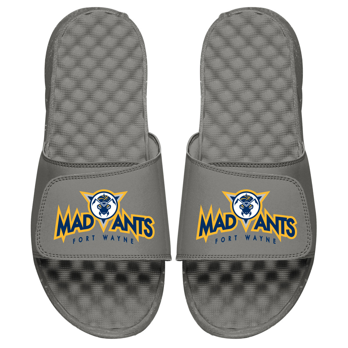 Fort Wayne Mad Ants Slides