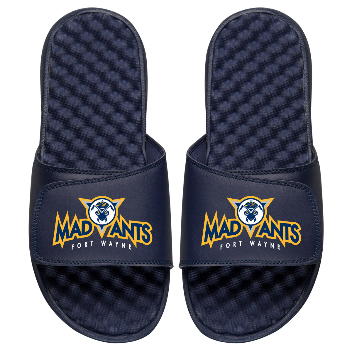 Fort Wayne Mad Ants Slides