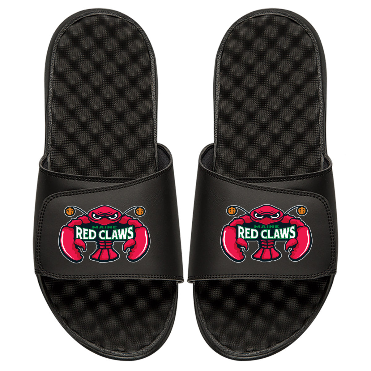 Maine Redclaws Slides