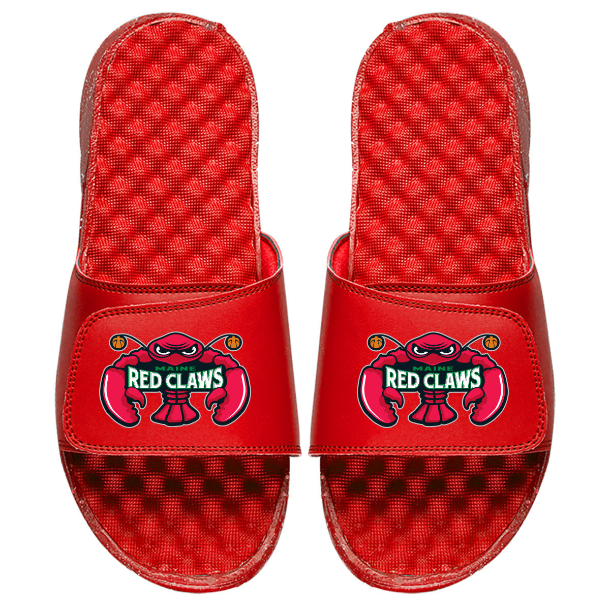 Maine Redclaws Slides