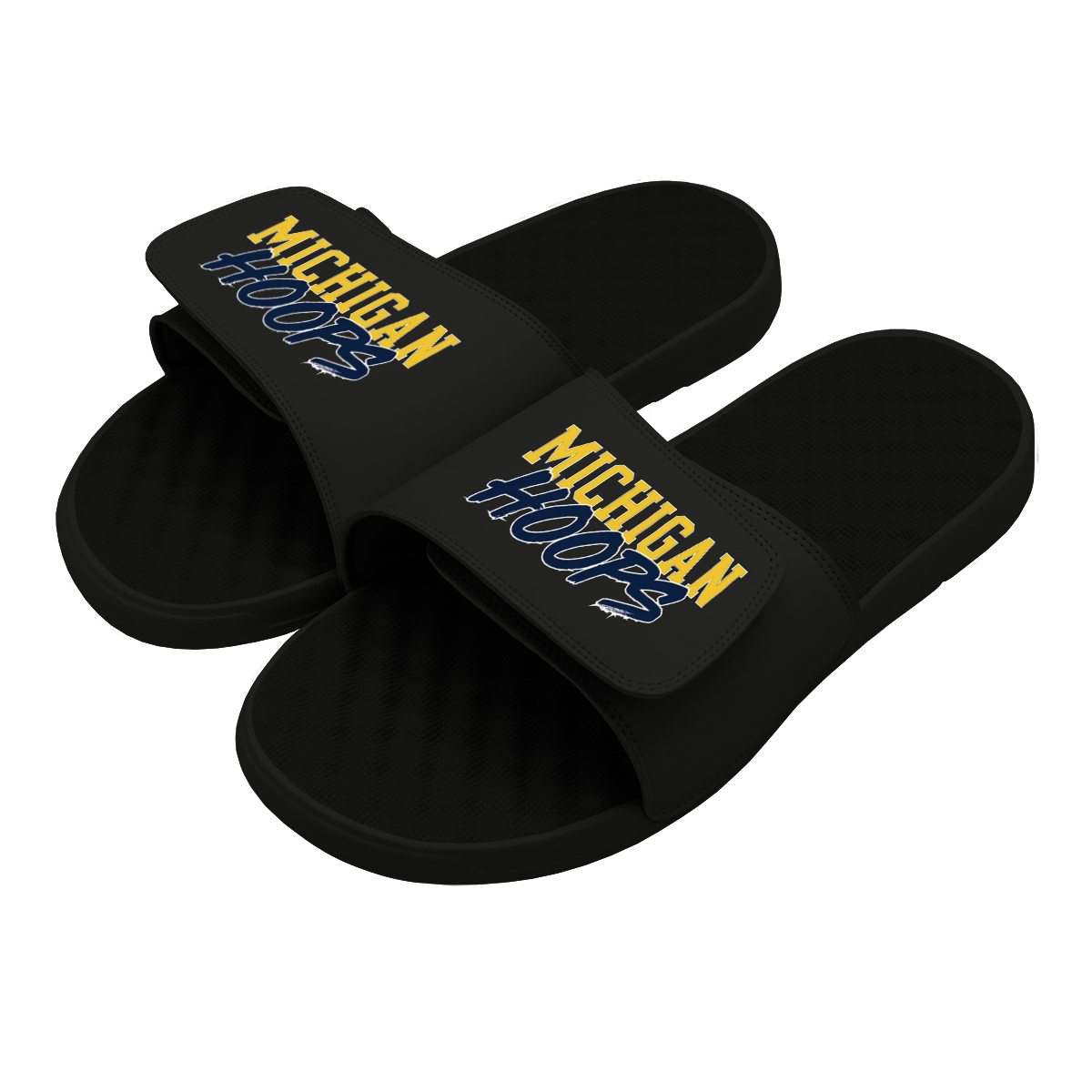 Michigan Hoops Slides
