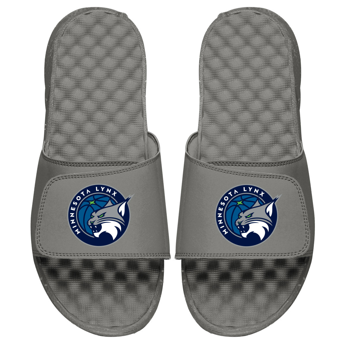 Minnesota Lynx Primary Slides