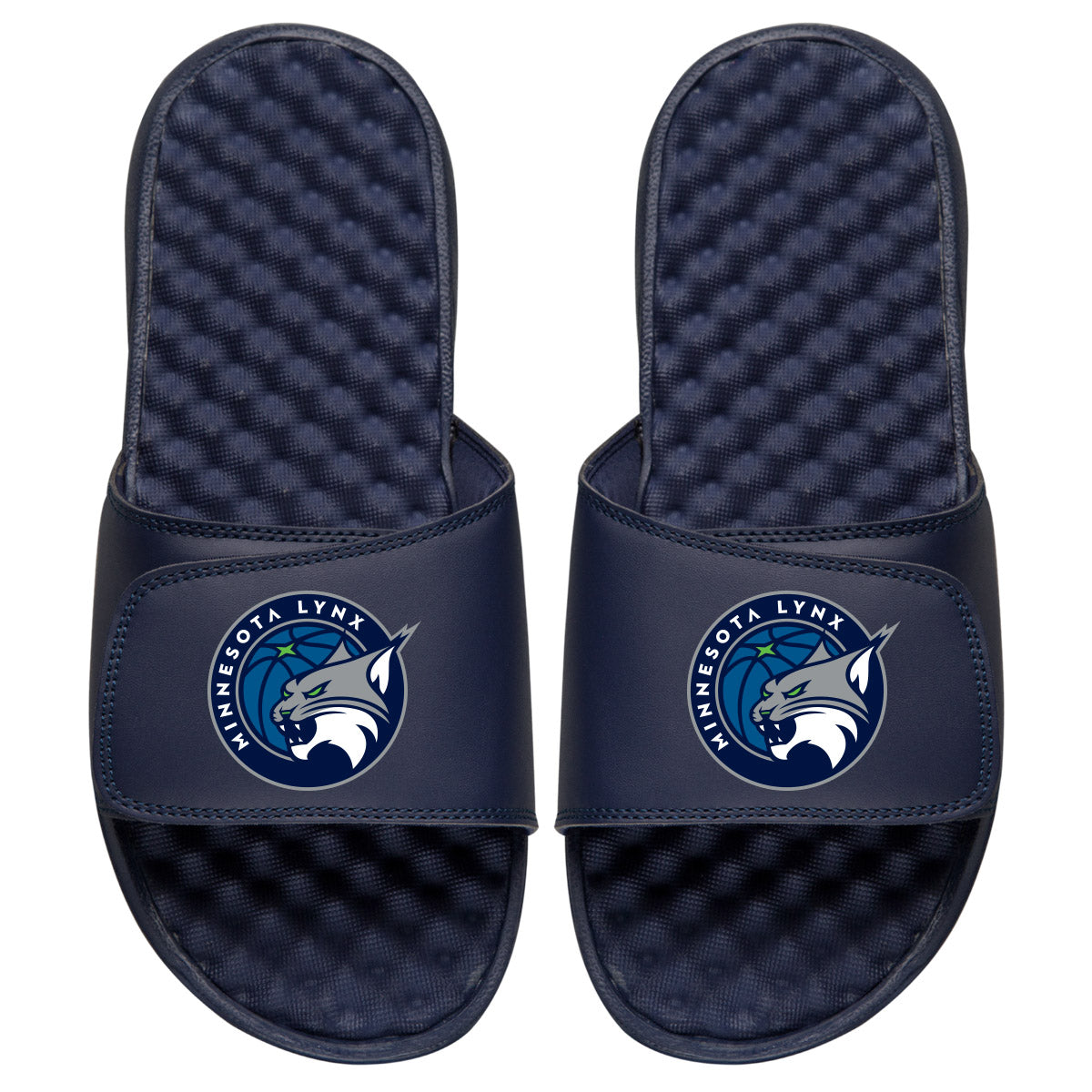 Minnesota Lynx Primary Slides