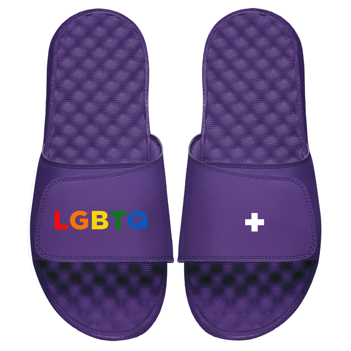 LGBTQ Plus Slides