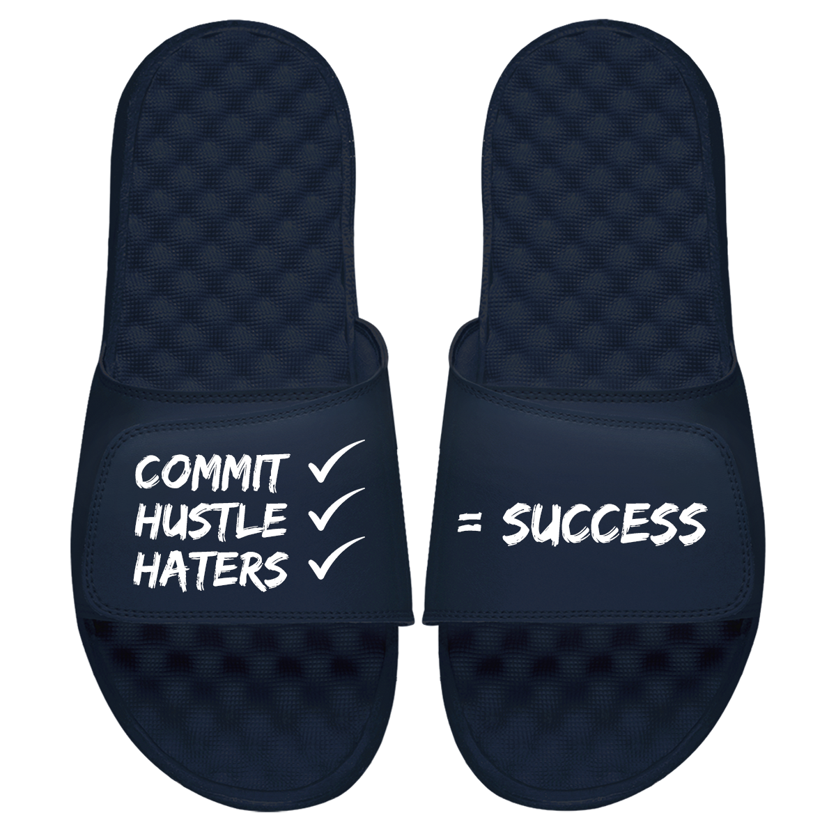 Checks To Success Slides