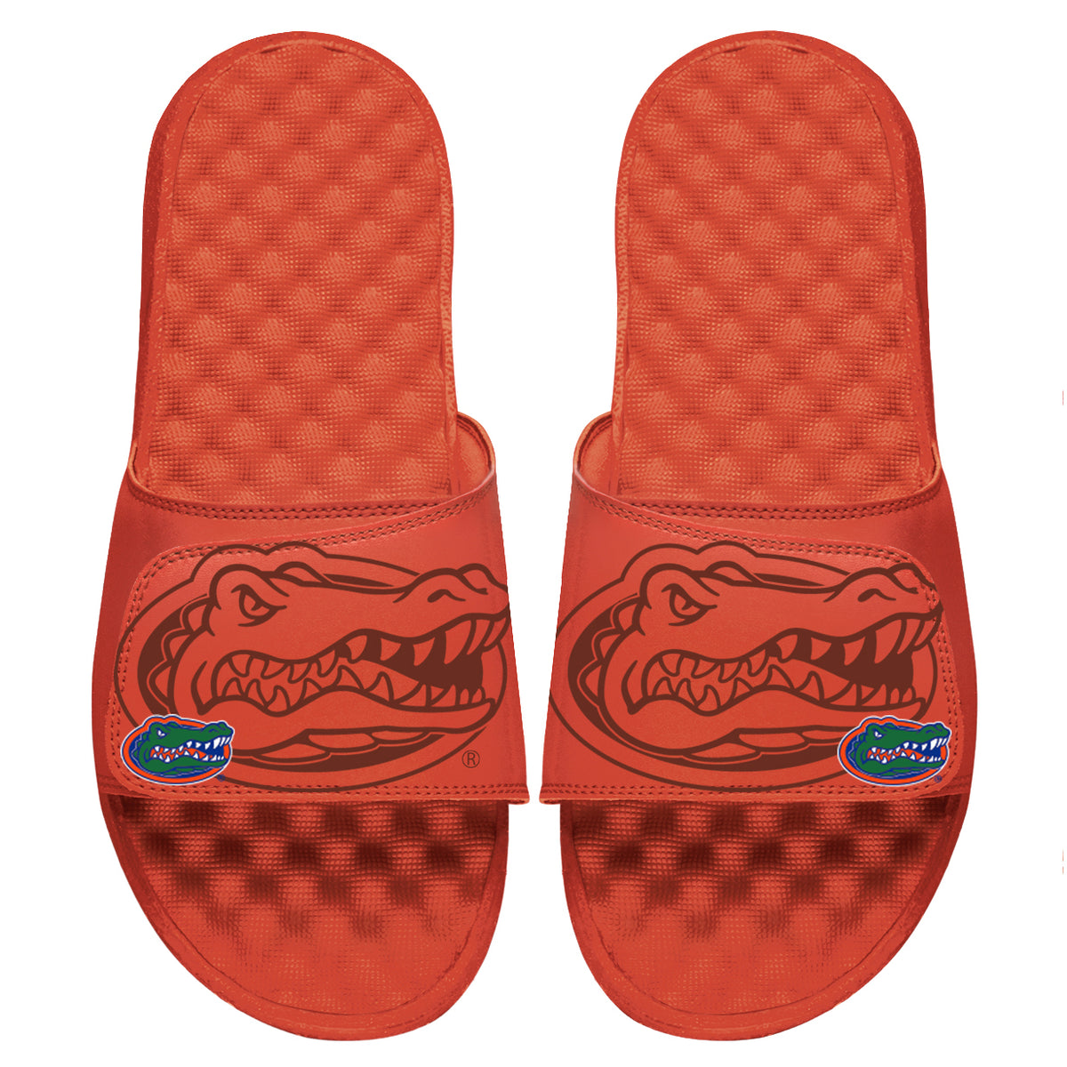 University of Florida Tonal Pop Slides