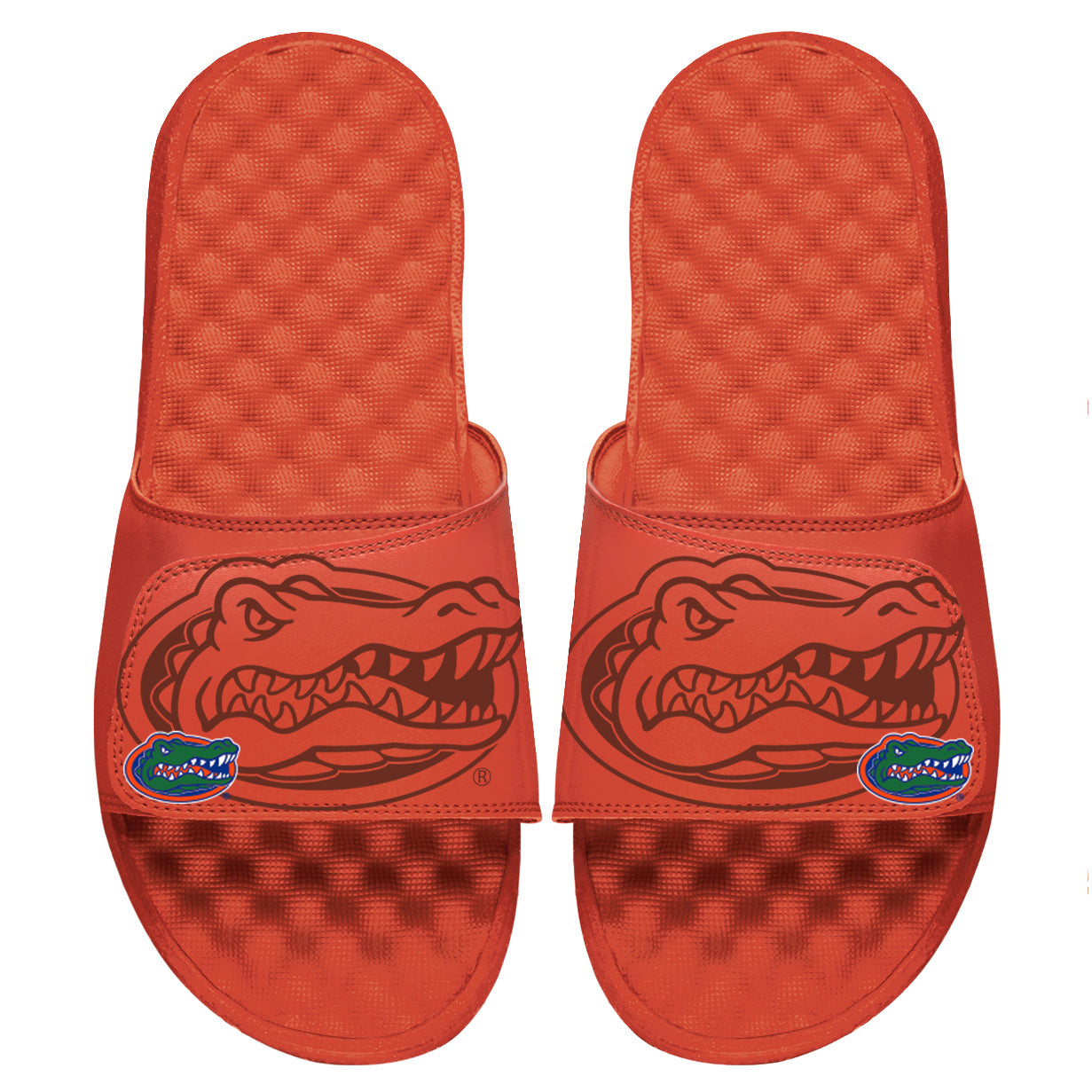 University of Florida Tonal Pop Slides