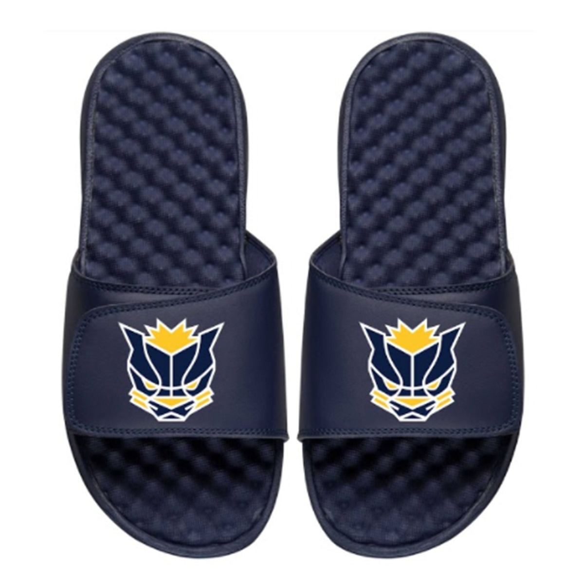 Pacers Gaming Logo Slides