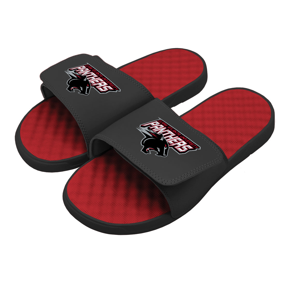 CAU Panthers Slides