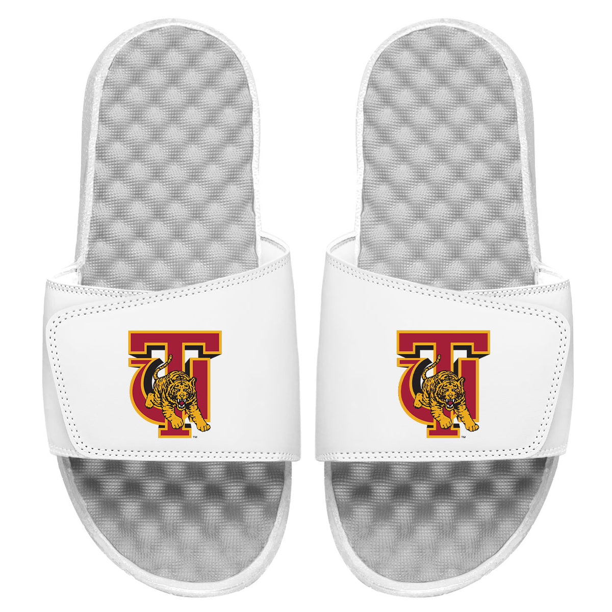 Tuskegee Primary Slides