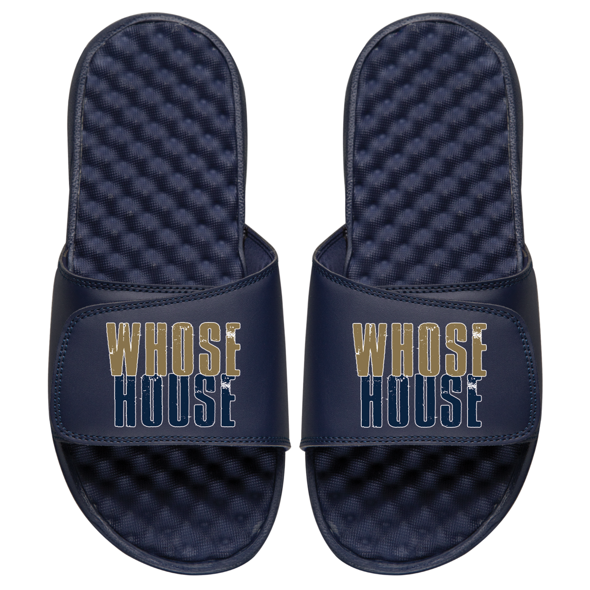 LA Whose House Slides