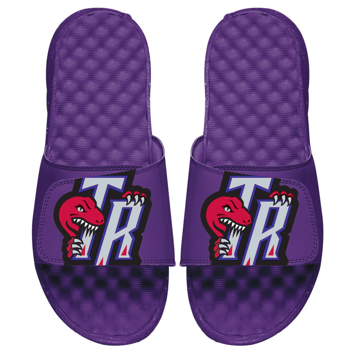 Raptors HWC Big Secondary Logo Slides
