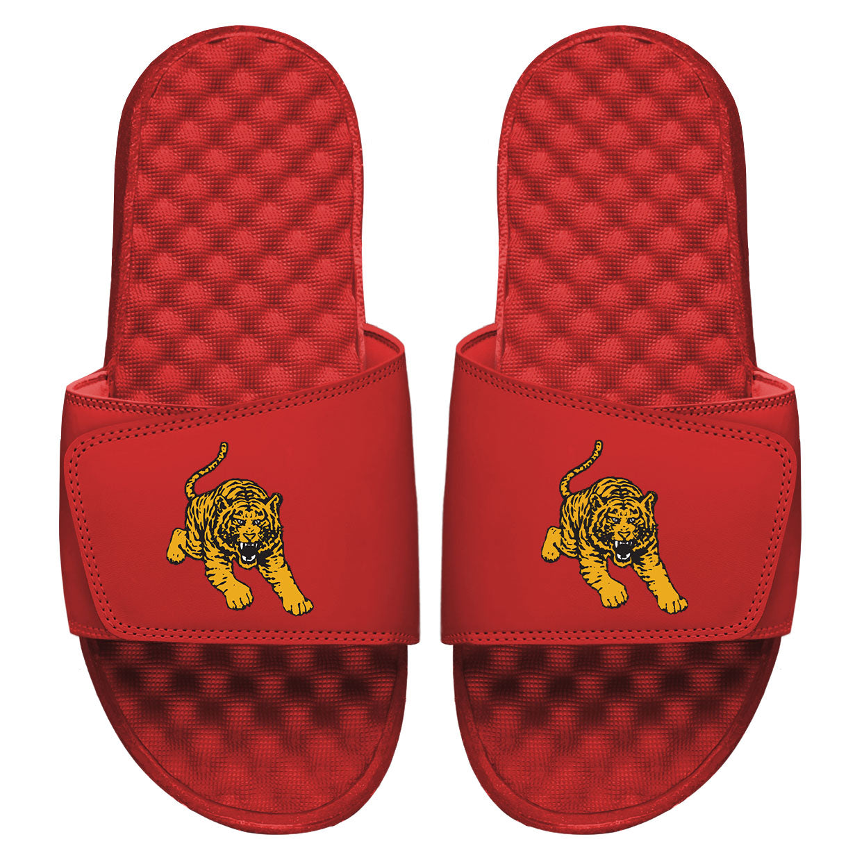 Tuskegee Tiger Slides