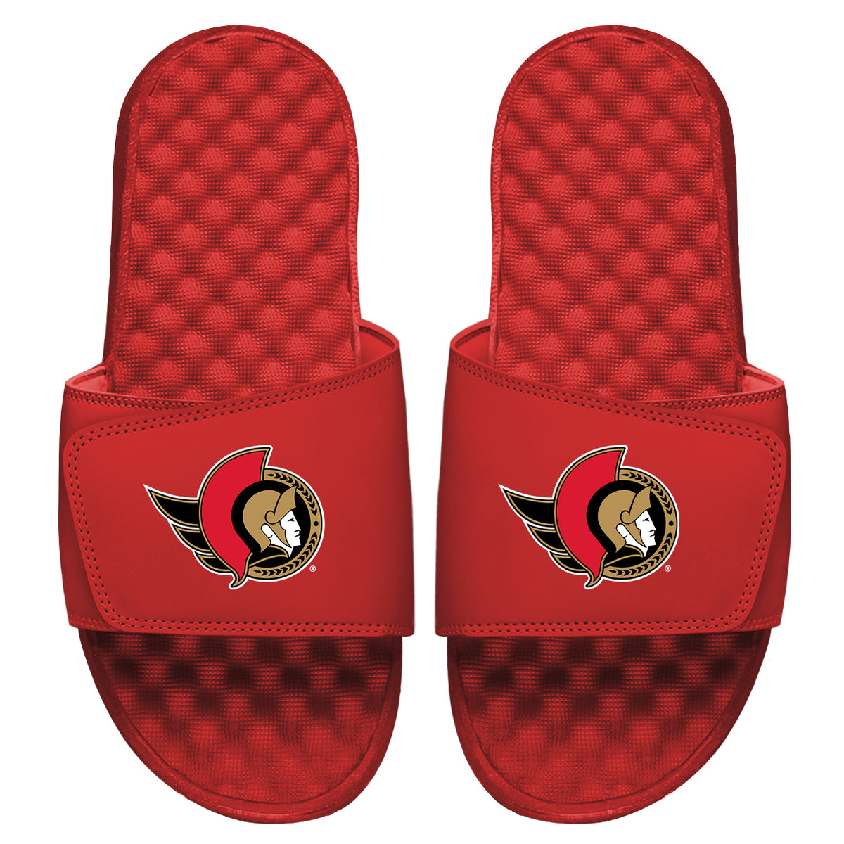 Ottawa Senators Primary Slides