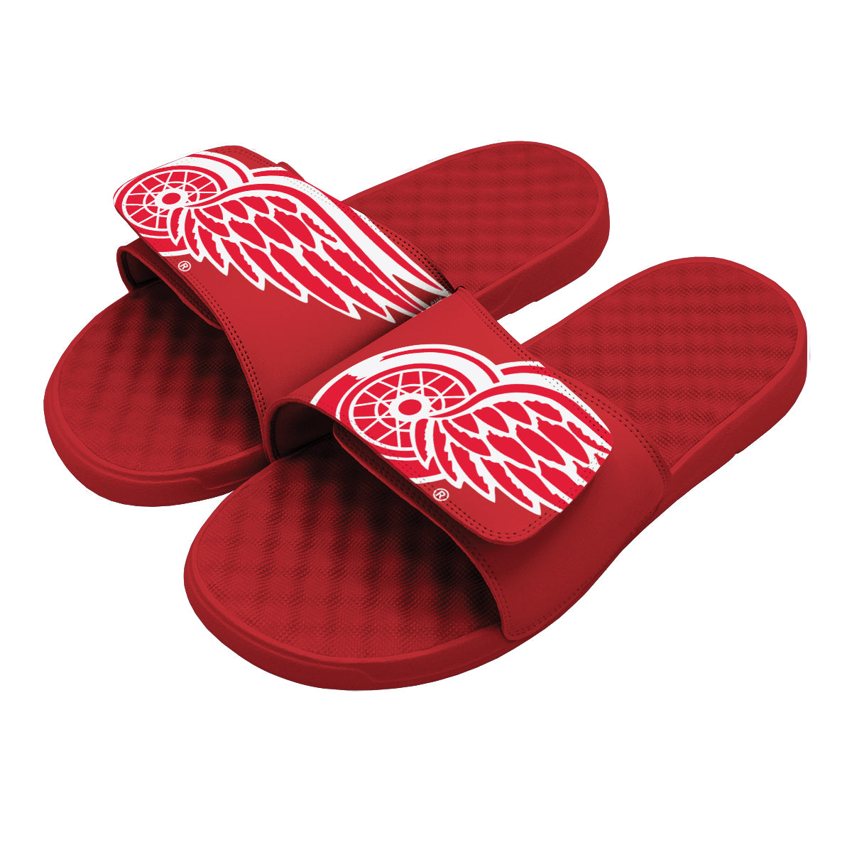 Detroit Red Wings Blown Up Slides