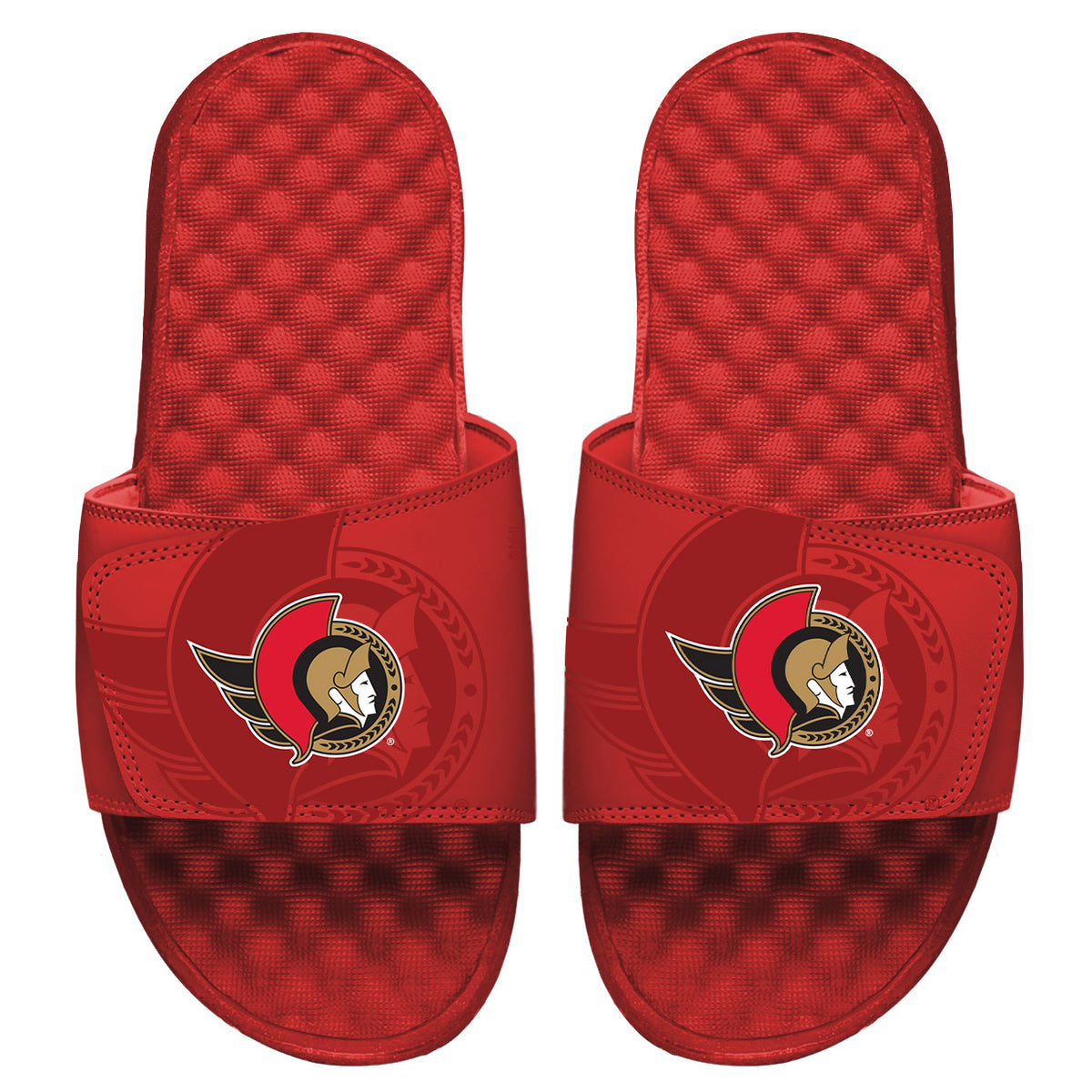 Ottawa Senators OT Slides