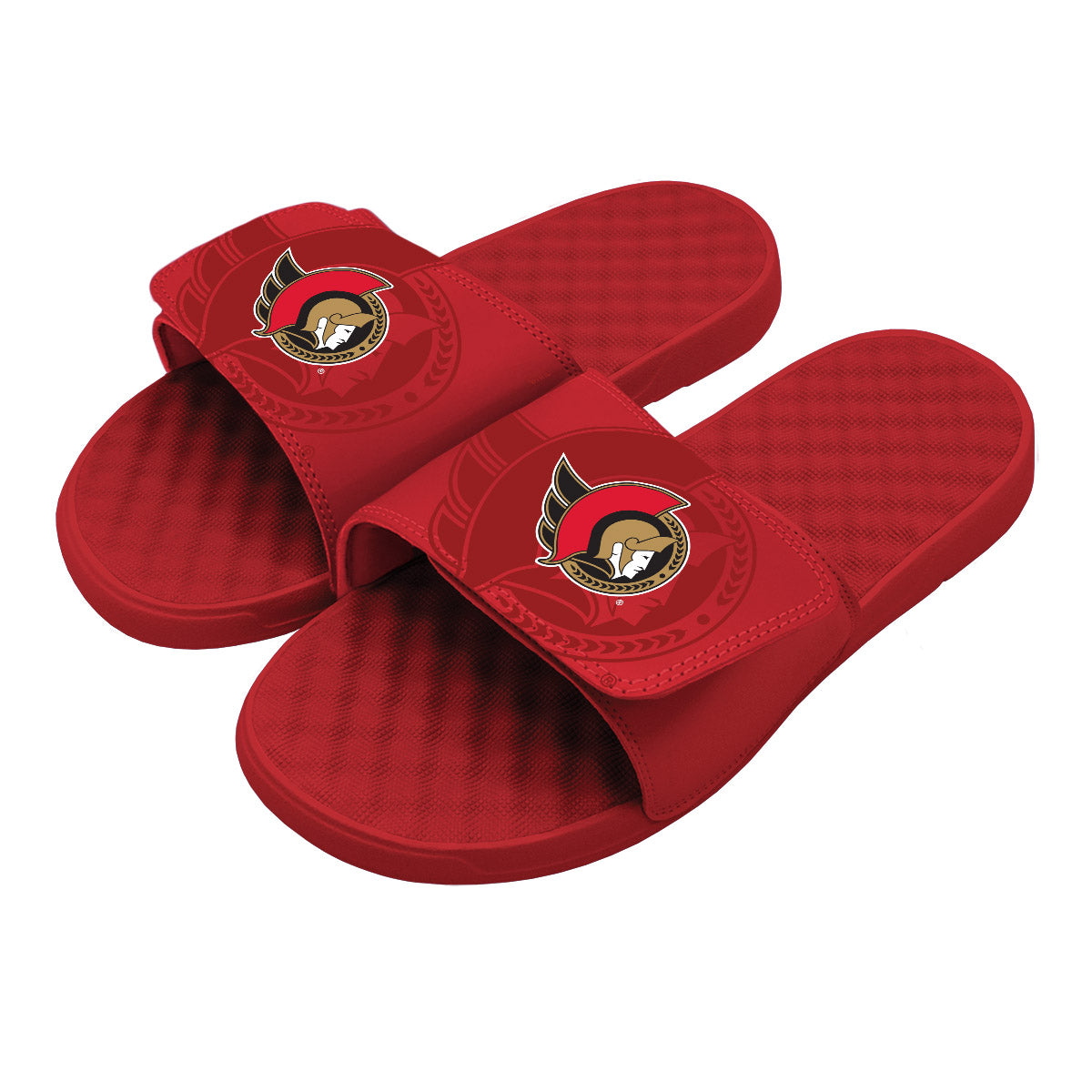 Ottawa Senators OT Slides