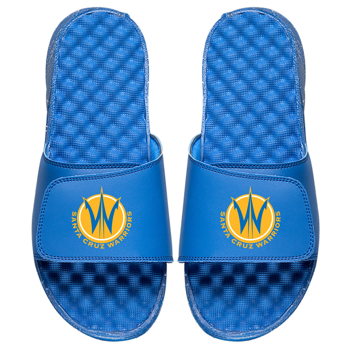 Santa Cruz Warrirors Primary Slides