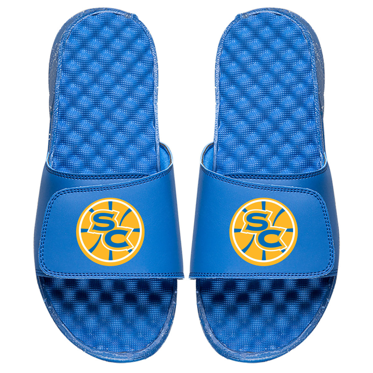 Santa Cruz Warrirors Secondary Slides
