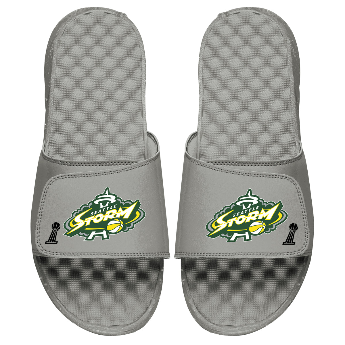 Seattle Storm Champs Slides