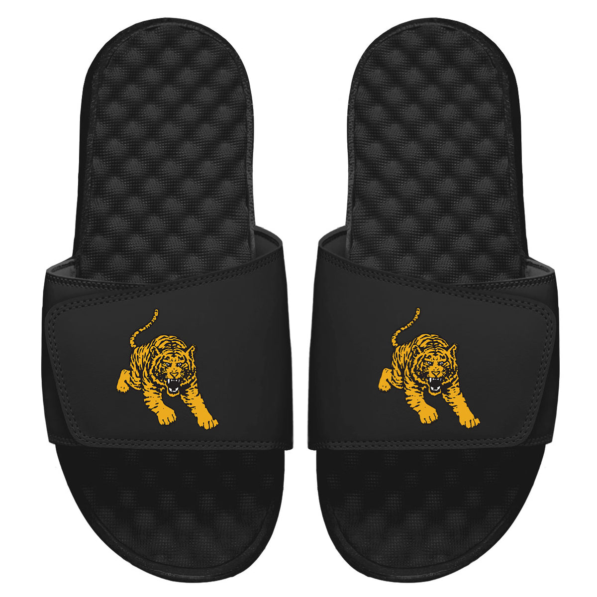 Tuskegee Tiger Slides