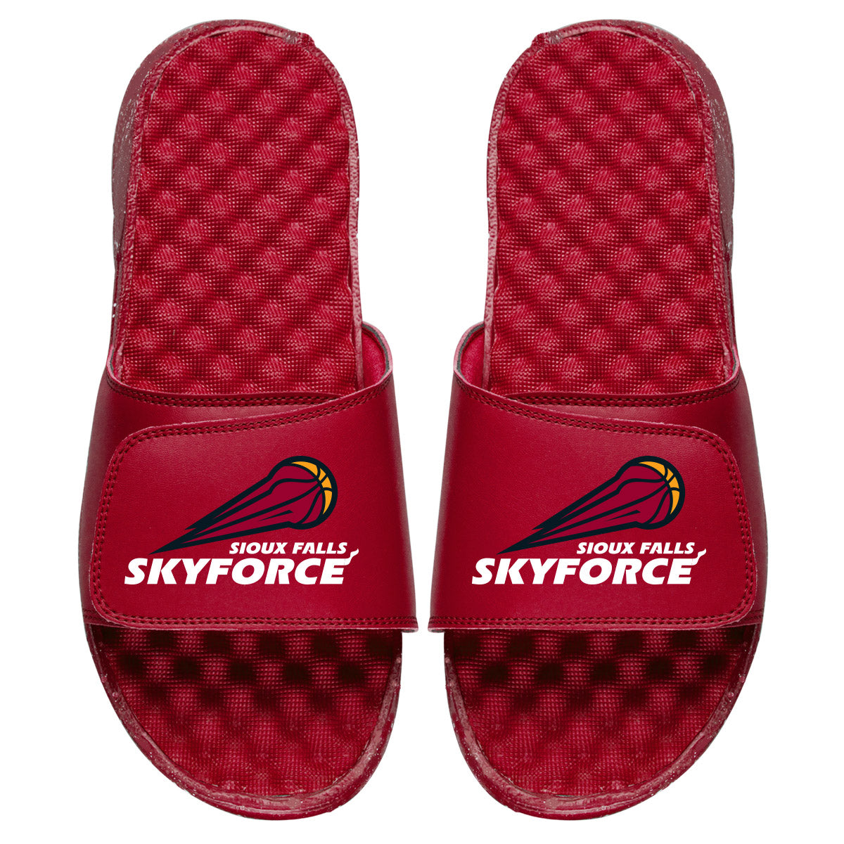 Sioux Falls Skyforce Primary Slides
