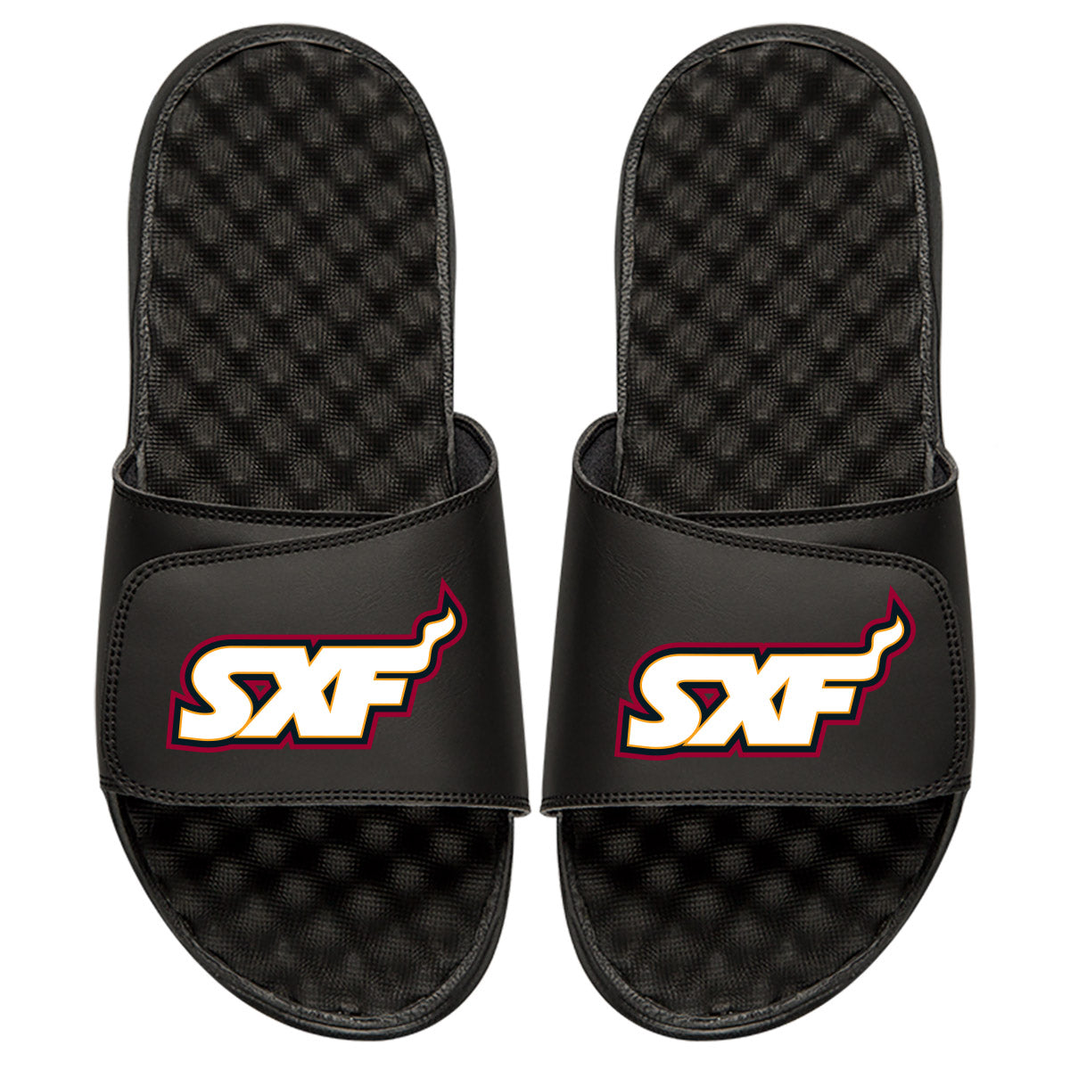 Sioux Falls Skyforce Secondary Slides