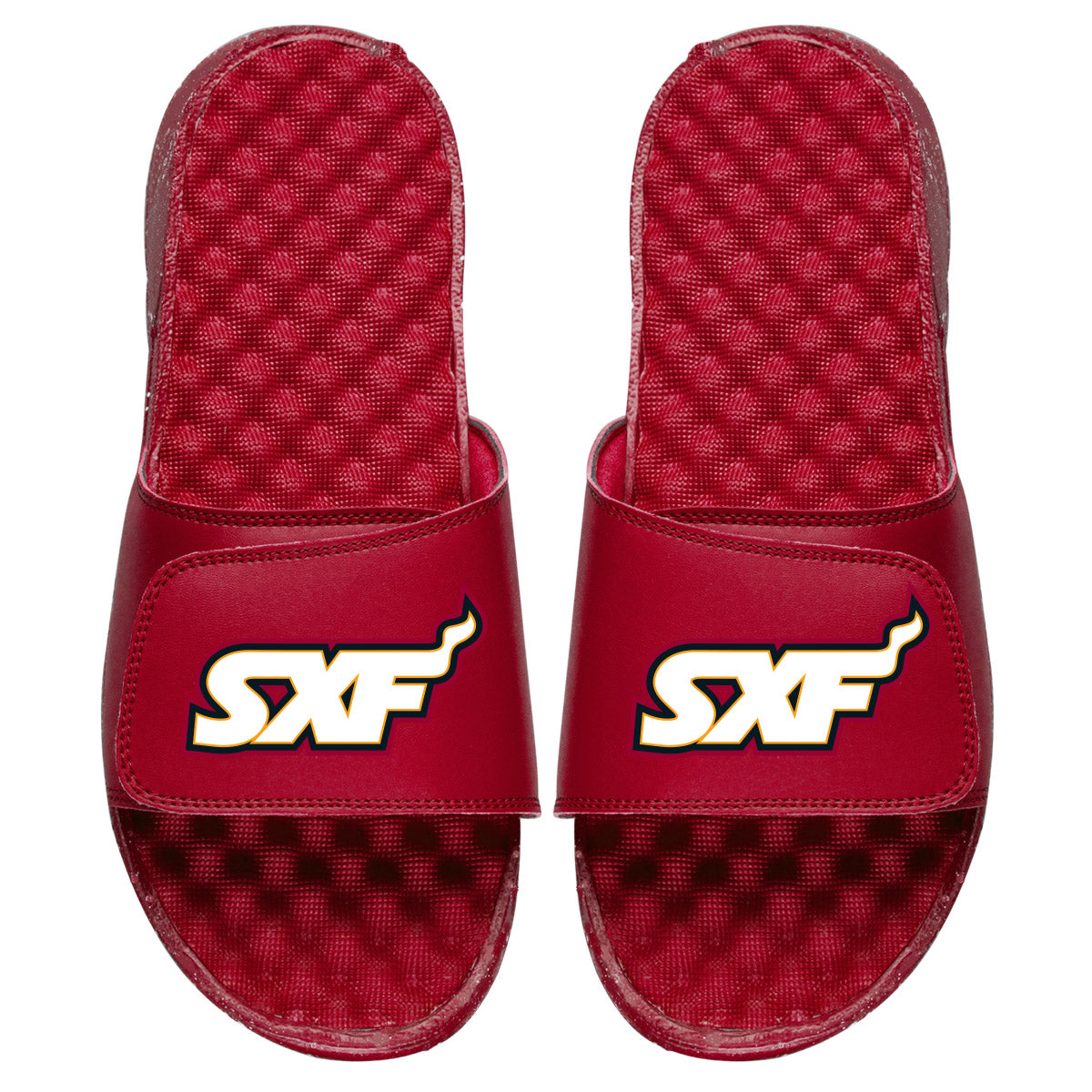 Sioux Falls Skyforce Secondary Slides